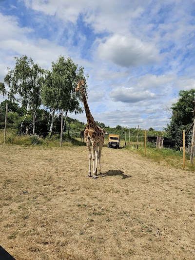 Chessington Zoo